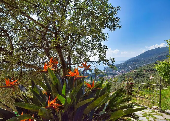 Amazing Home In Recco With Wifi